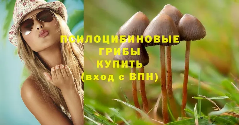 купить закладку  Безенчук  гидра сайт  Псилоцибиновые грибы Magic Shrooms 